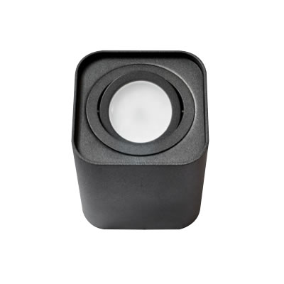 Surface mounted downlight