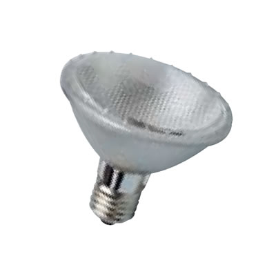 PAR30 Halogen Lamps